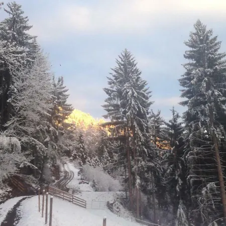 Reinwalds Almhuette Millstatt