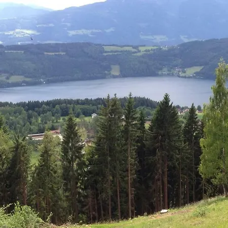 Reinwalds Almhuette Casa vacanze Millstatt
