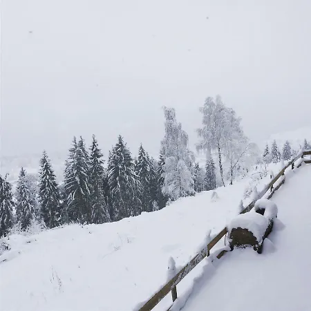Reinwalds Almhuette * Millstatt