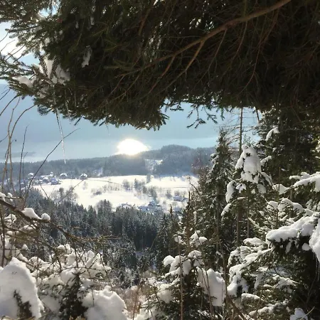 Prázdninový dům Reinwalds Almhuette *