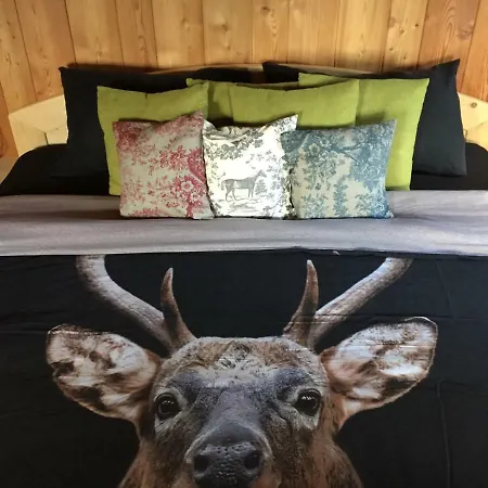 Reinwalds Almhuette Feriehus