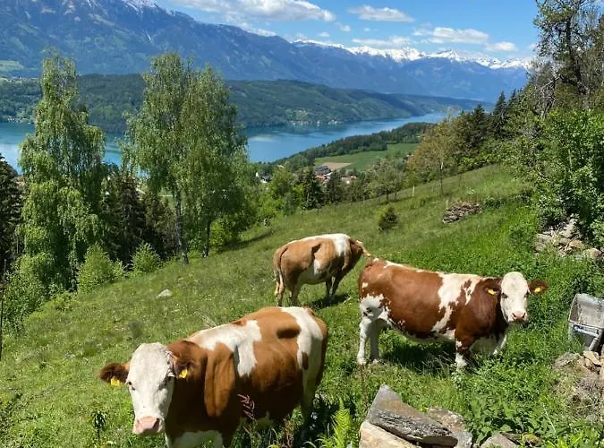 Reinwalds Almhuette * Millstatt