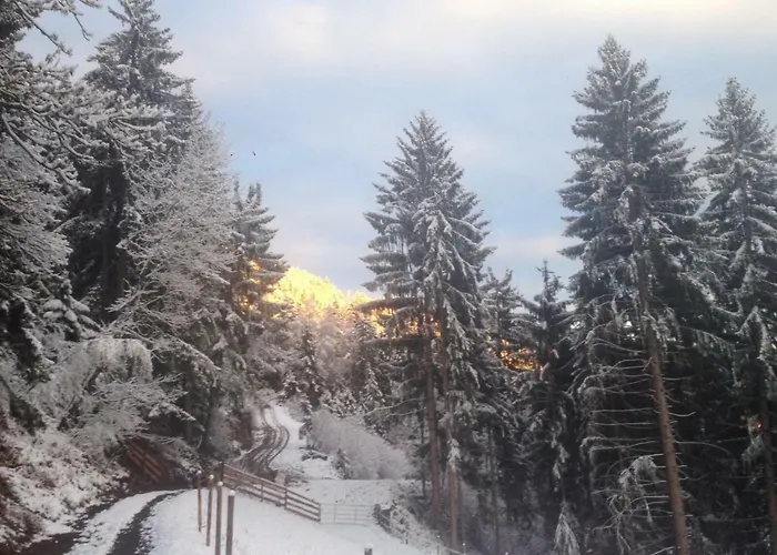 Reinwalds Almhuette Millstatt