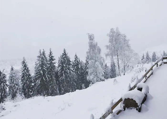 Reinwalds Almhuette * Millstatt