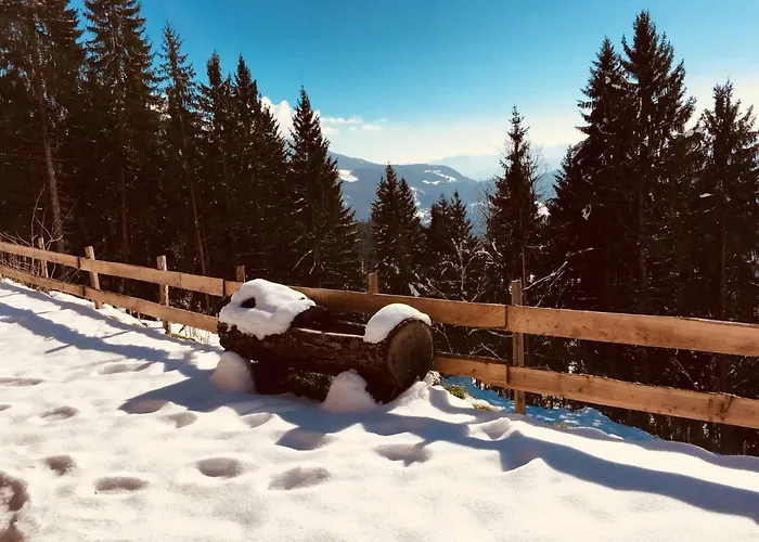 Σπίτι διακοπών Reinwalds Almhuette Millstatt