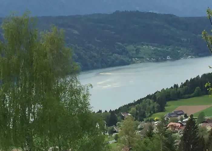 Σπίτι διακοπών Reinwalds Almhuette